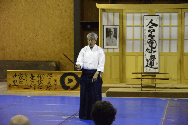 Hiroshi Ikeda Sensei at Fall Mountain Camp 2014